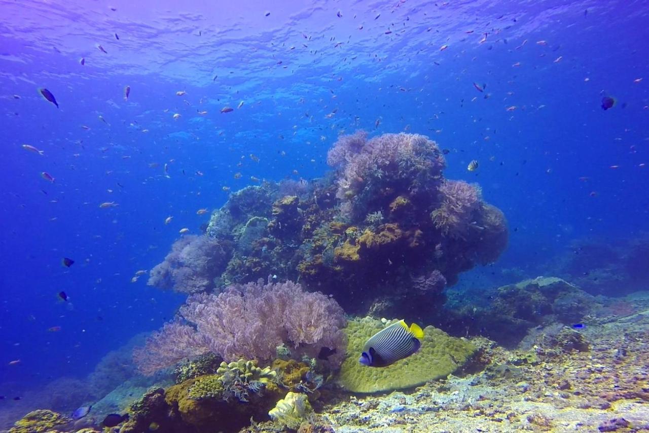 Selang Resort Amed Eksteriør bilde